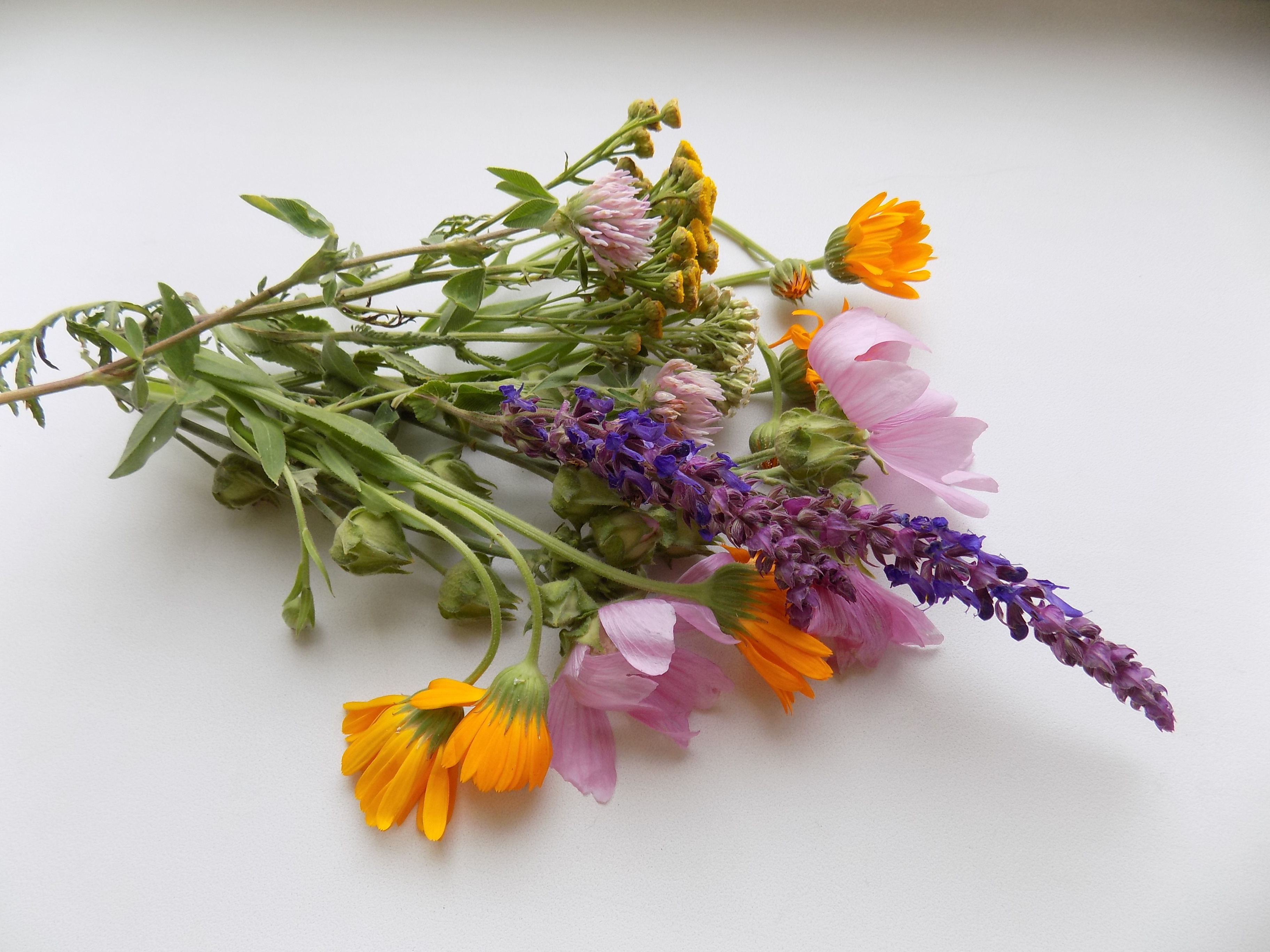 Assortment of flowers on a table