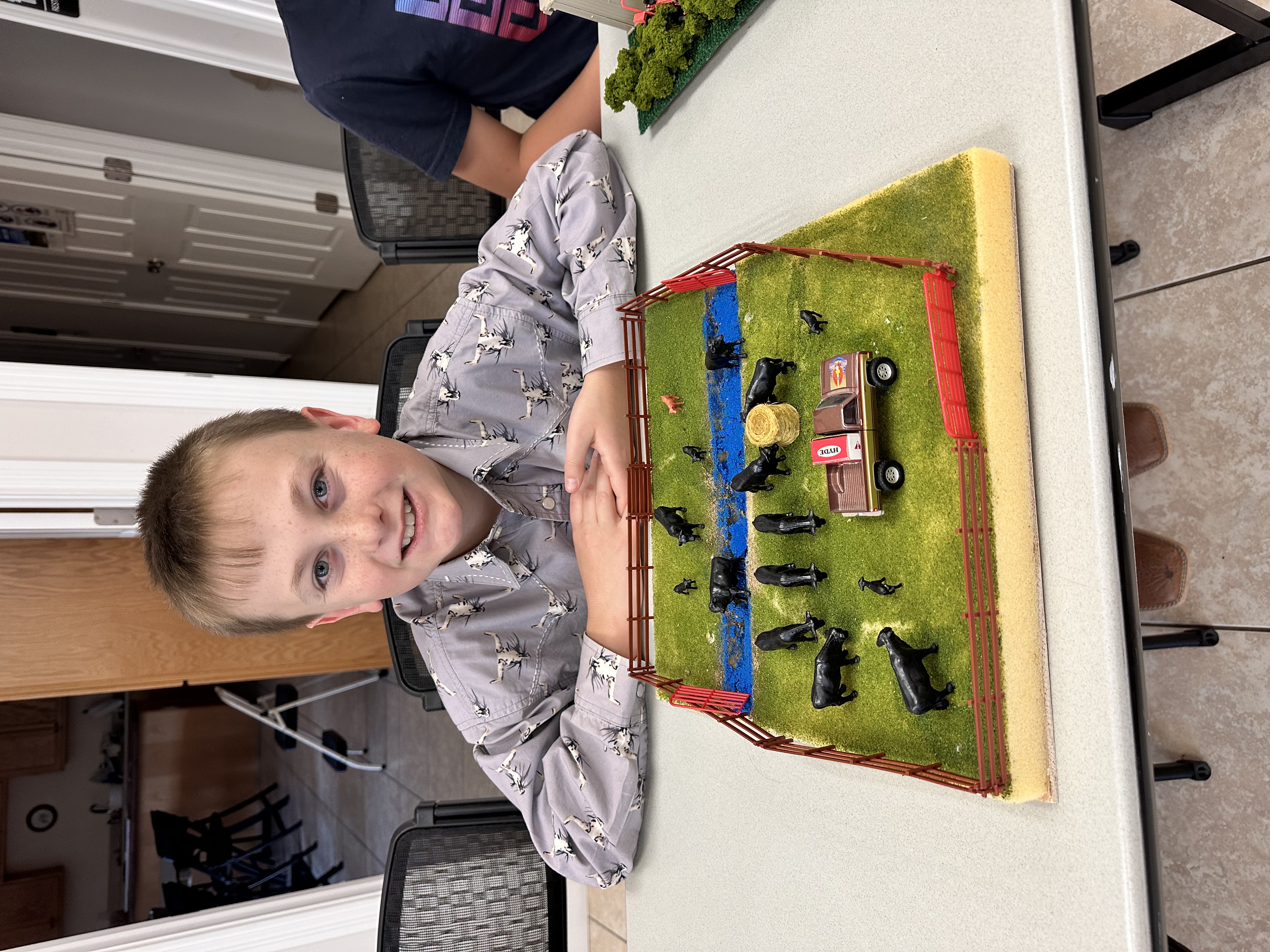 Boy with farm display