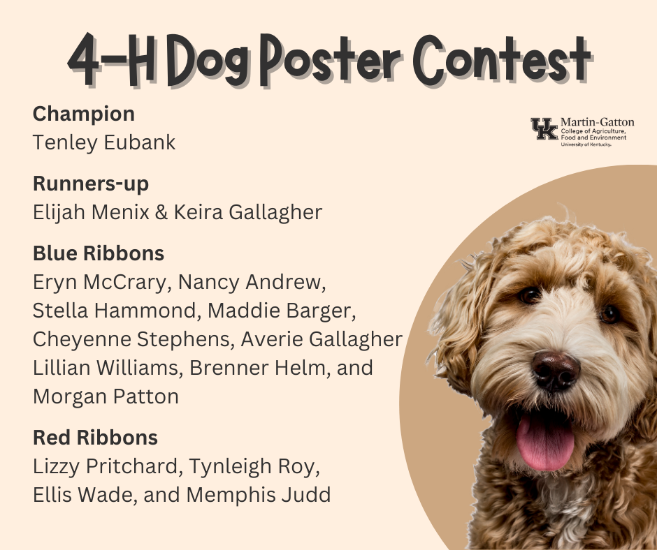 dog poster contest results