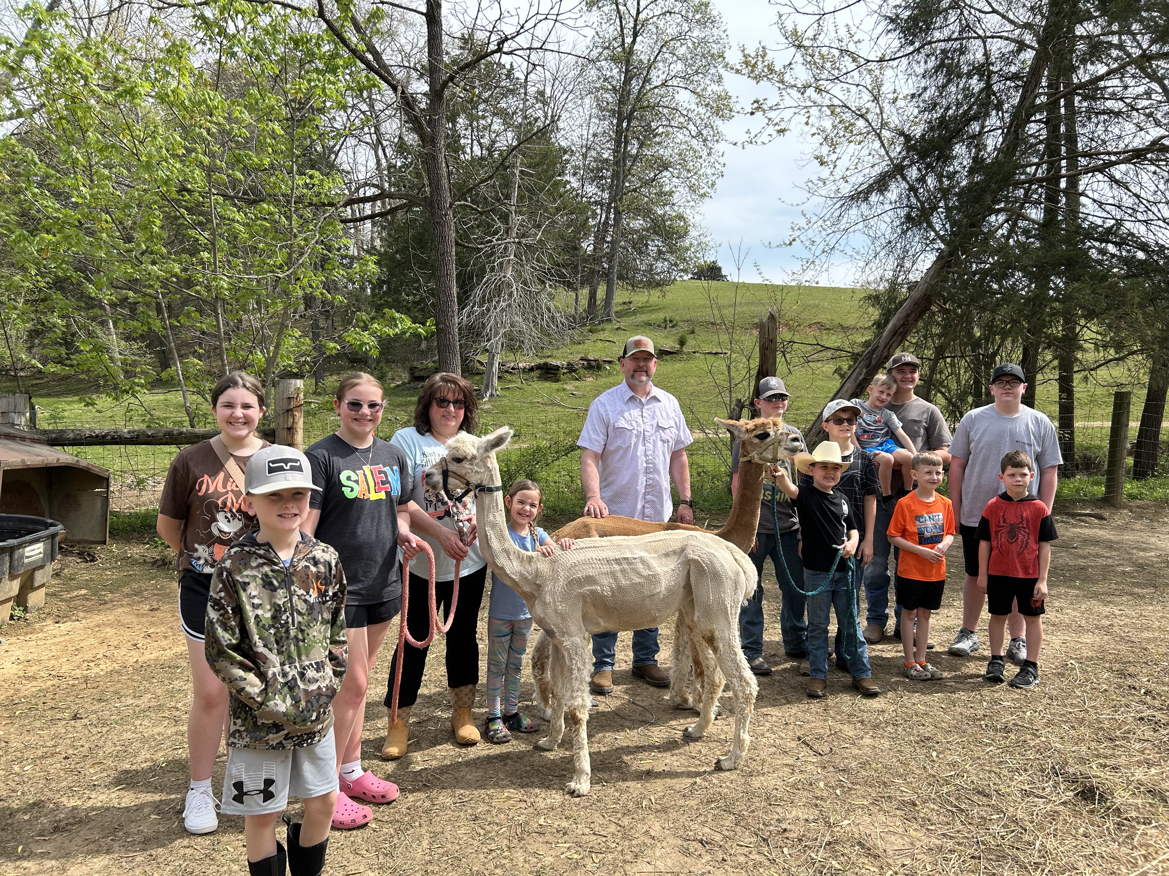 Group of people with an alpaca
