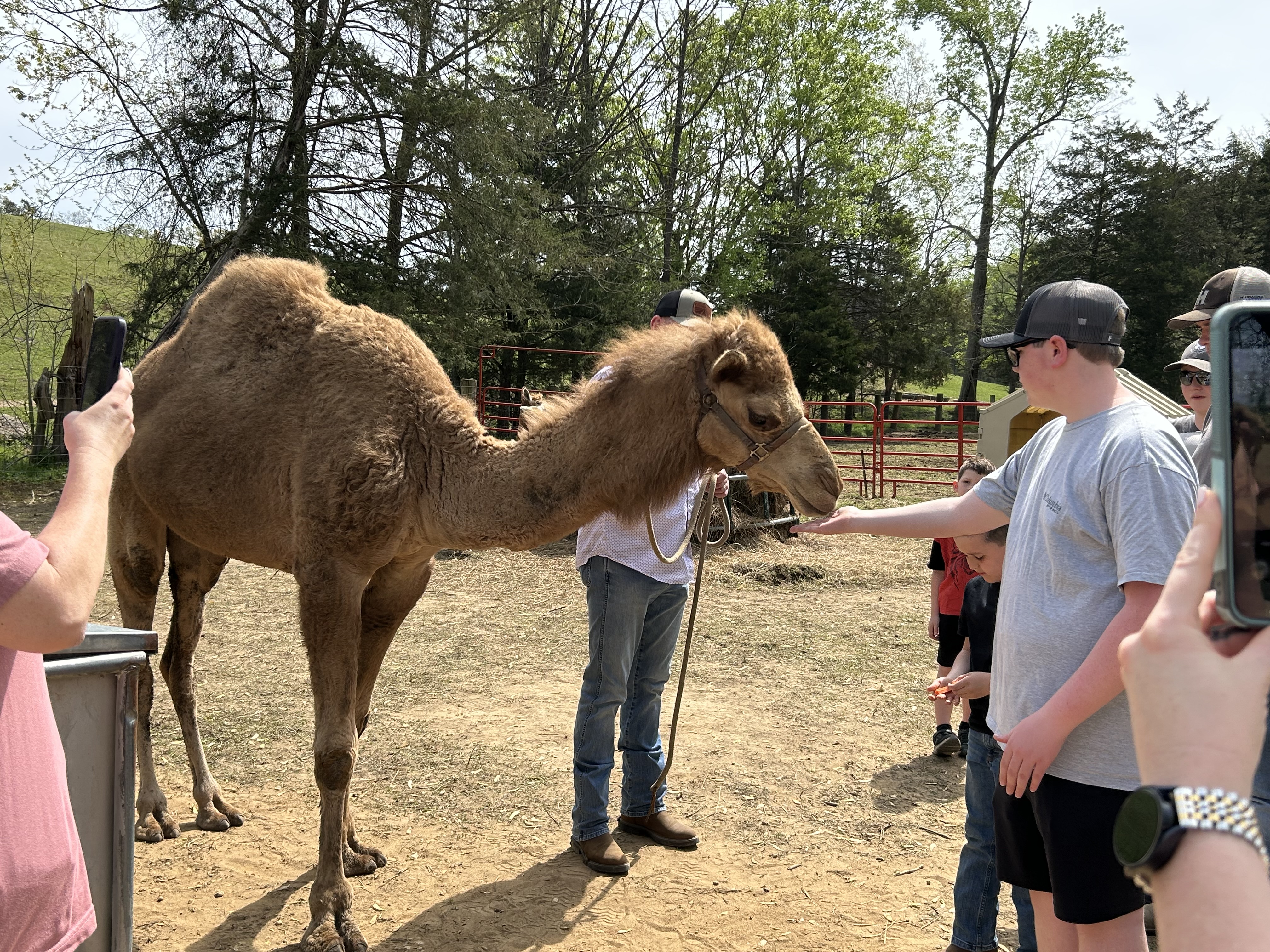 People with a camel