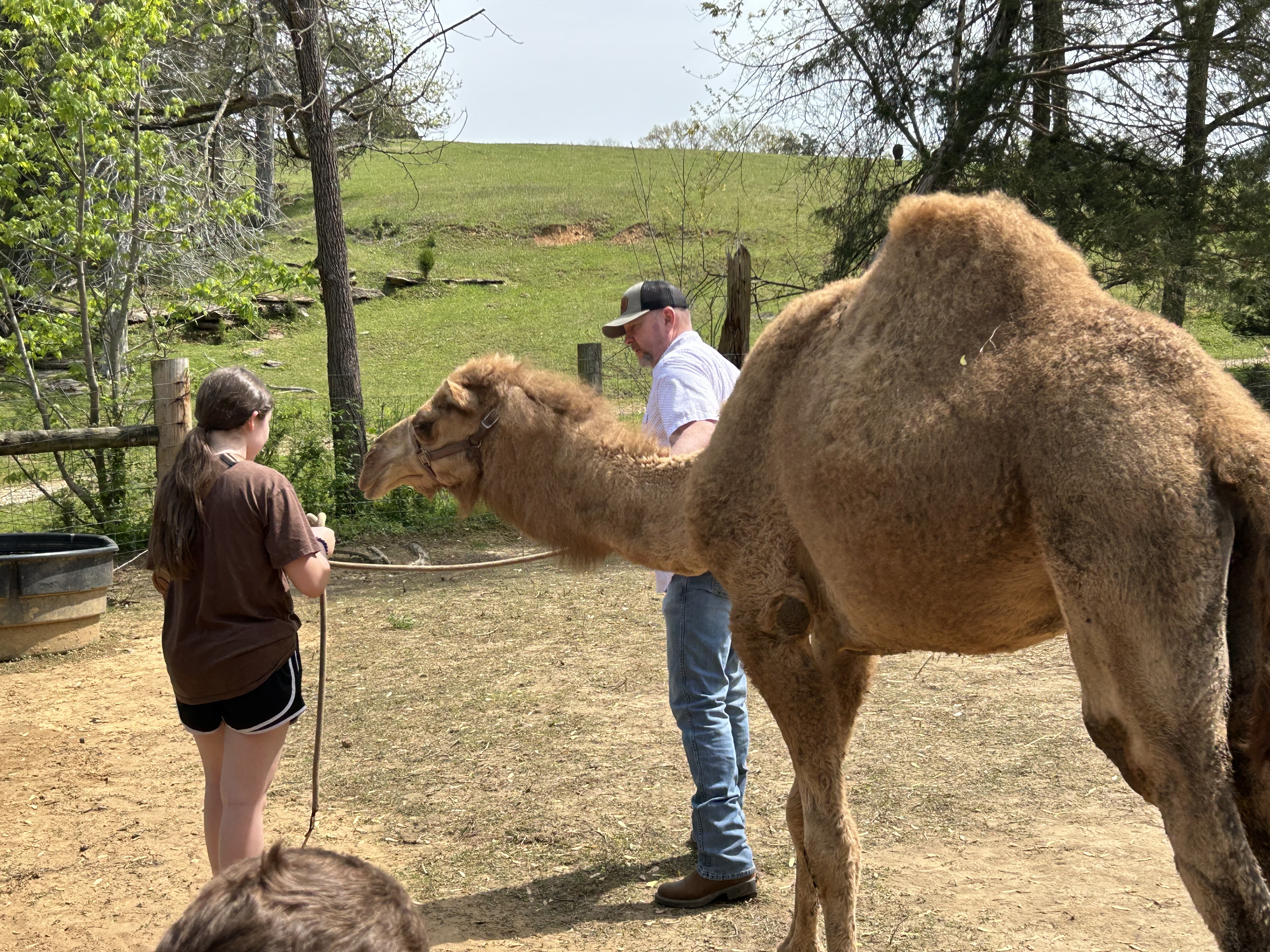 People with a camel