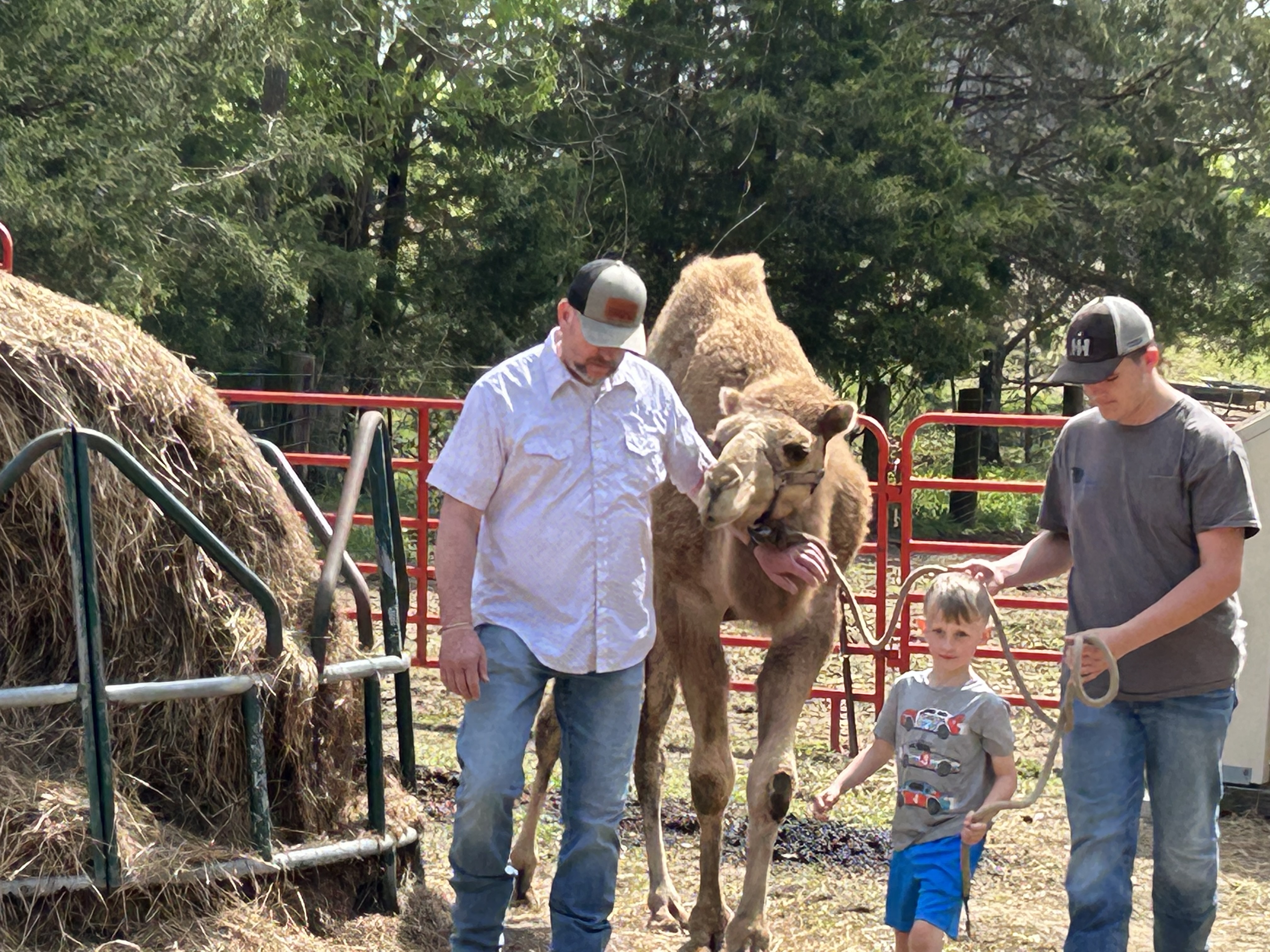 People with a camel