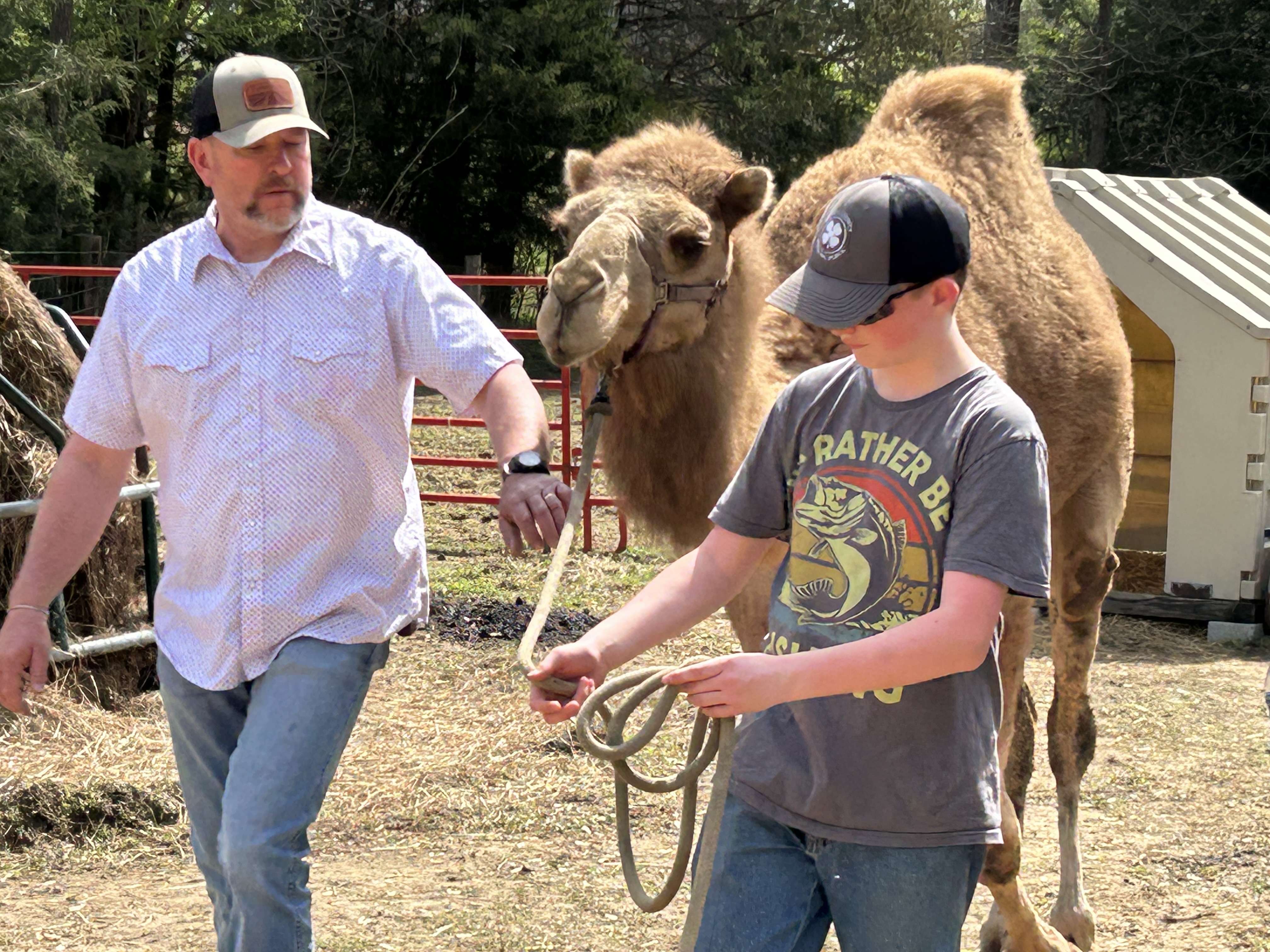 People with a camel