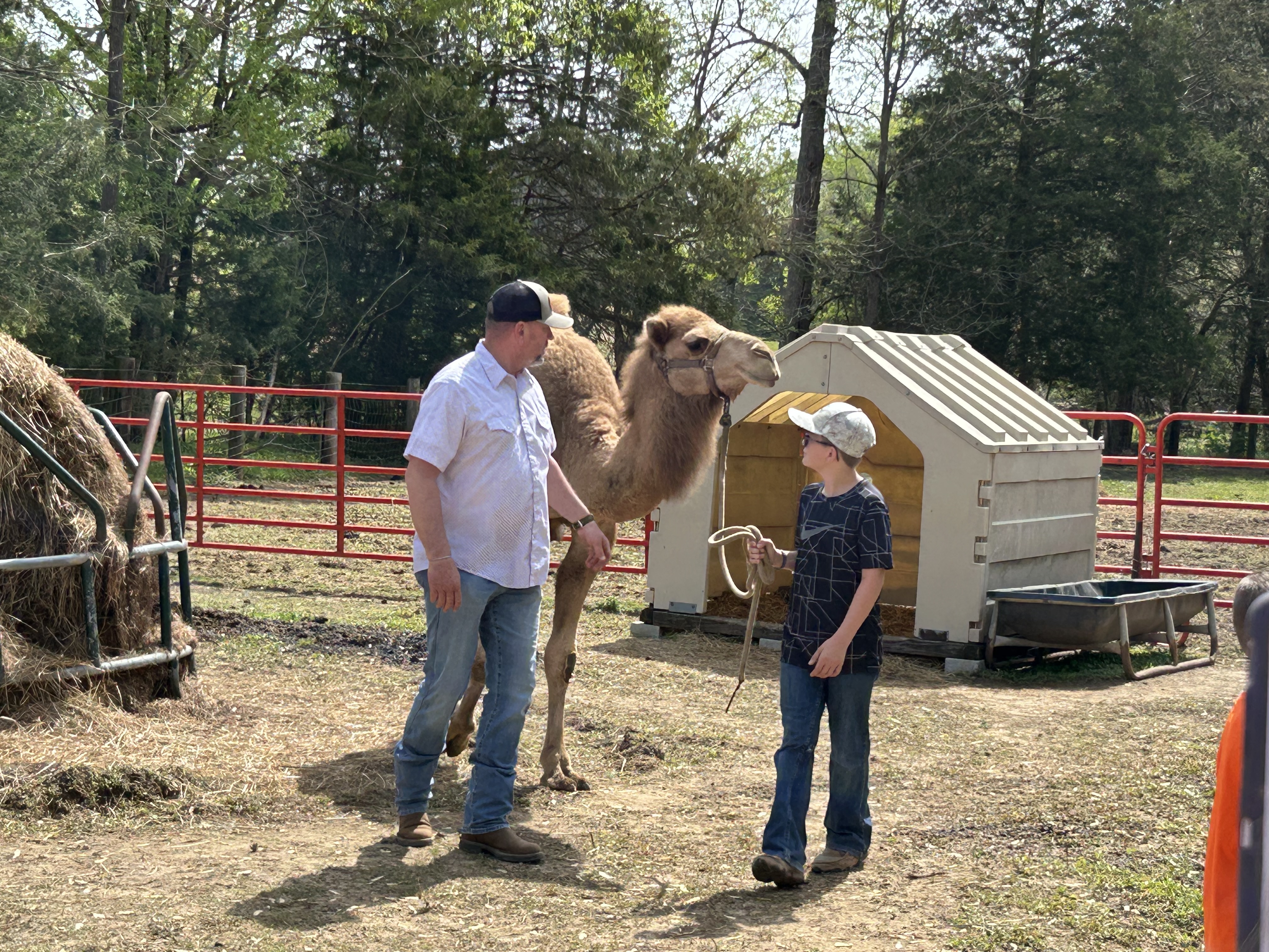 People with a camel