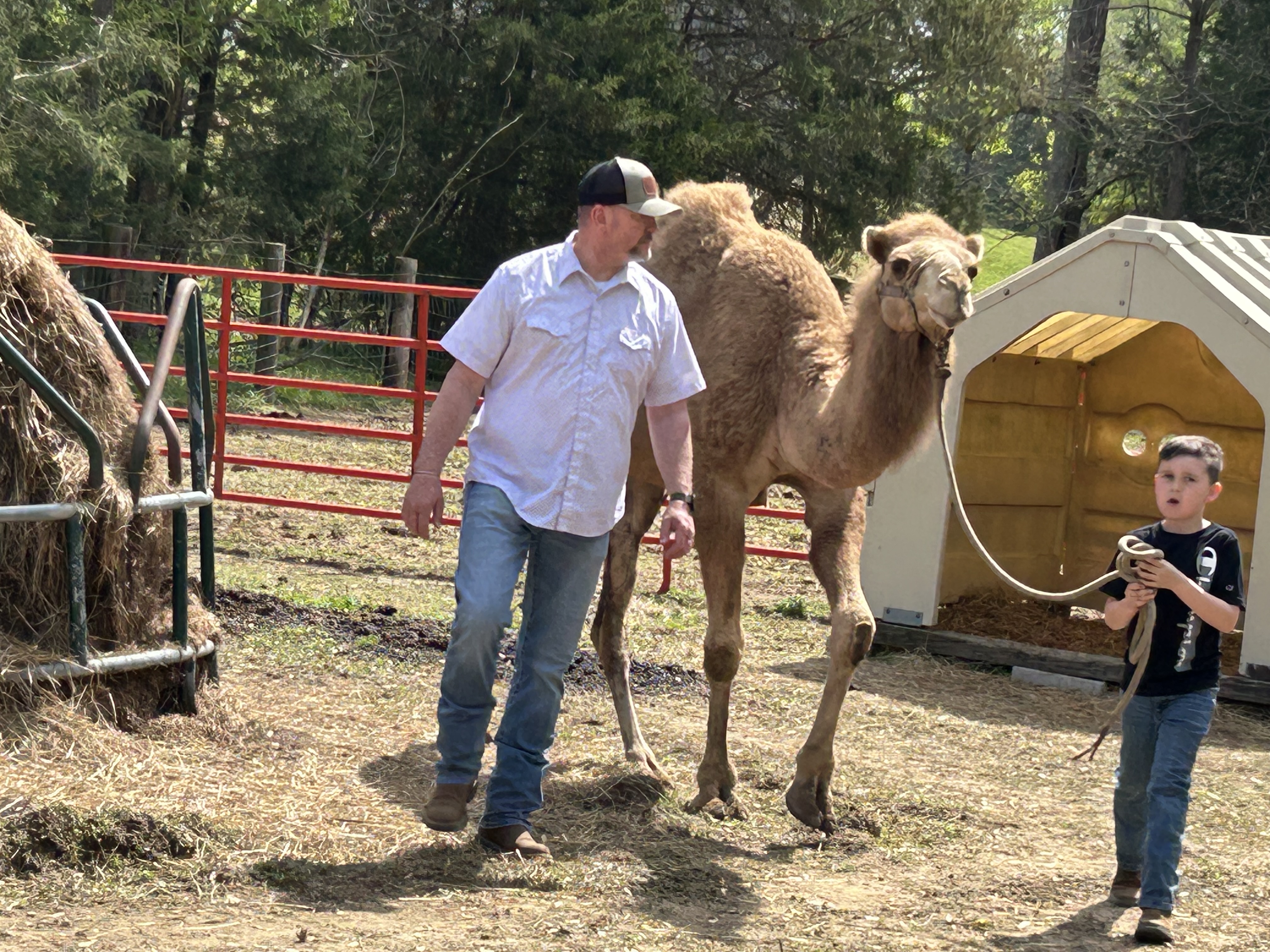People with a camel