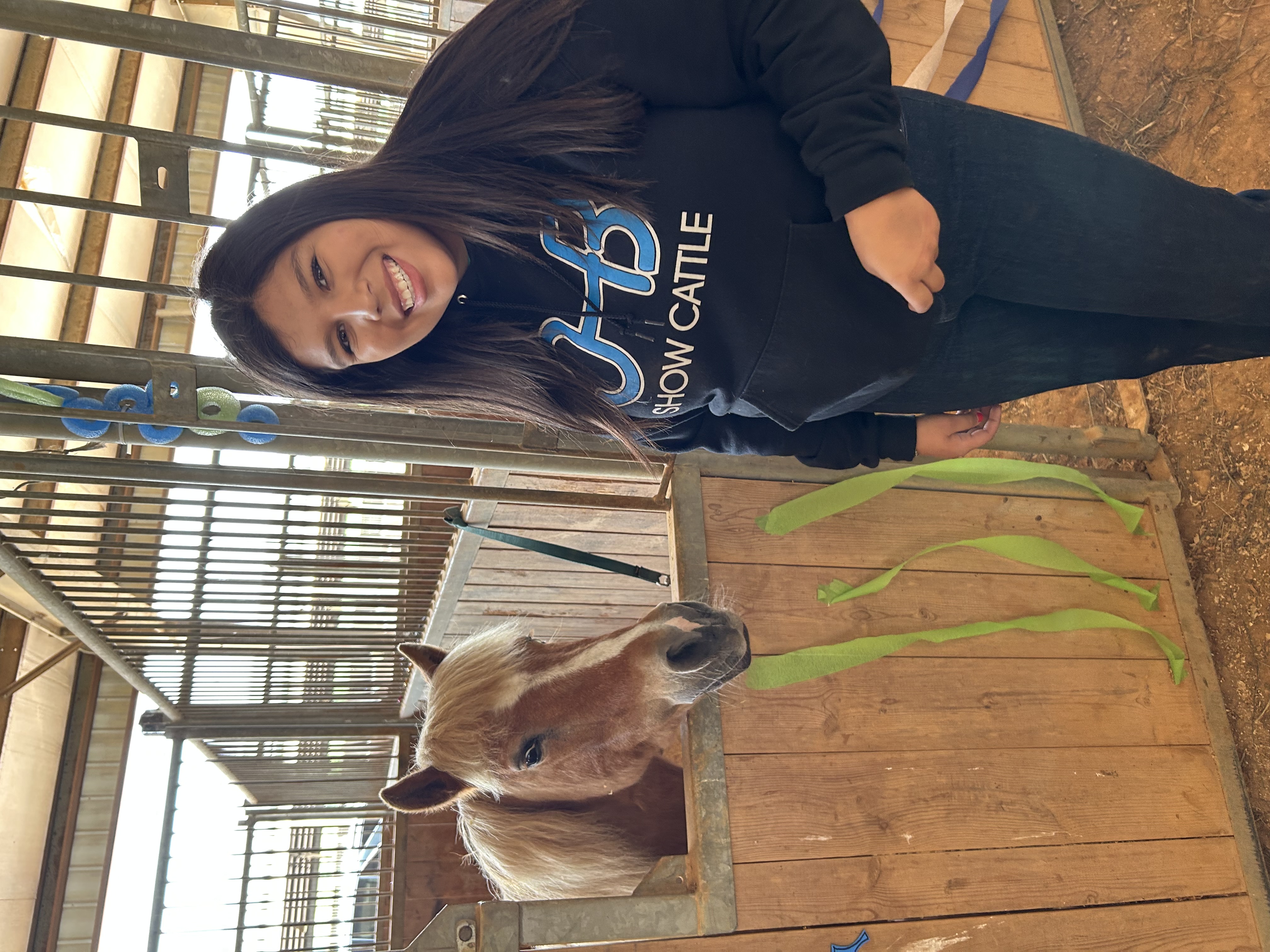 Girl with horse