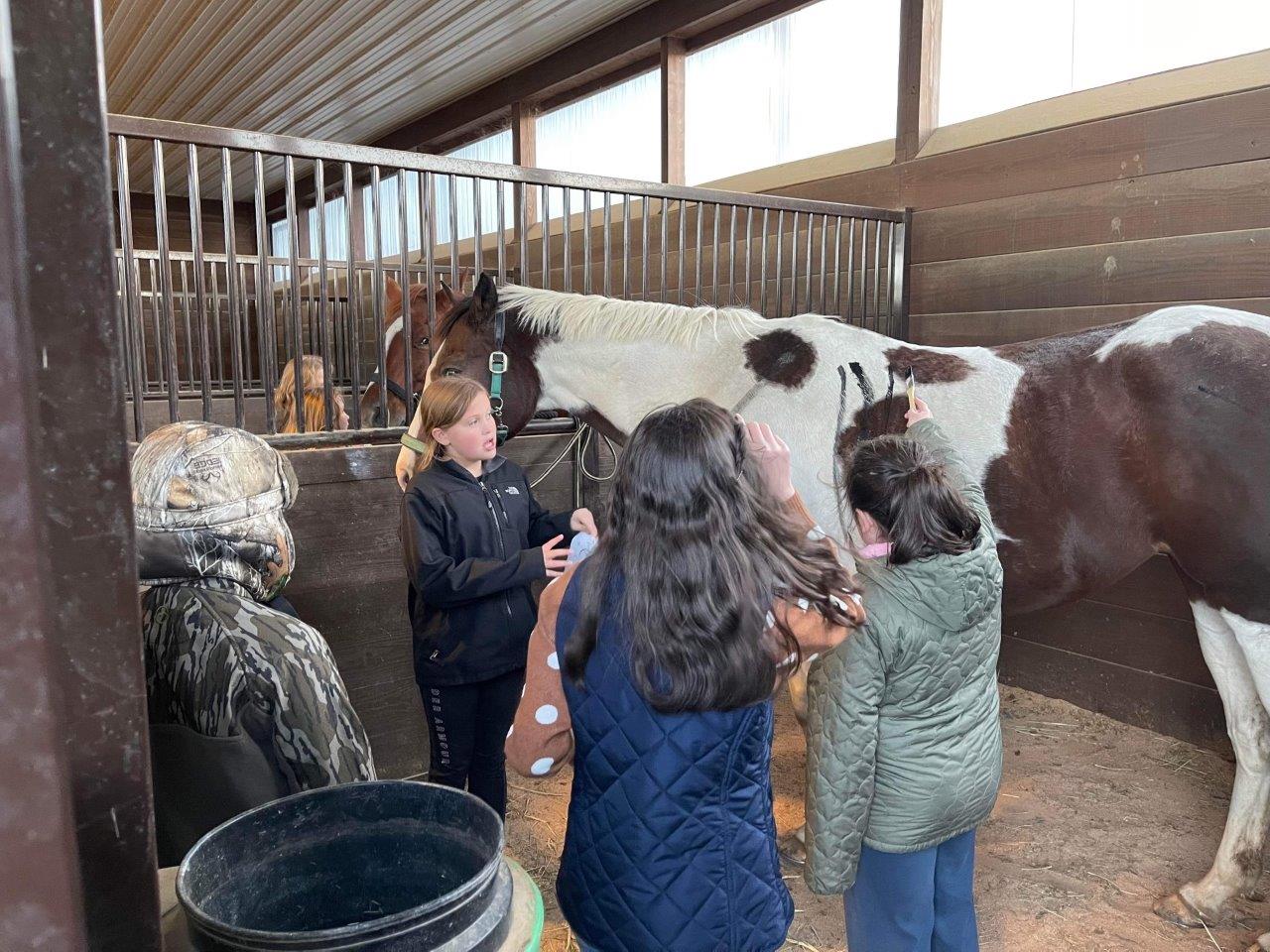 4-H Horse Club | Russell County Extension Office