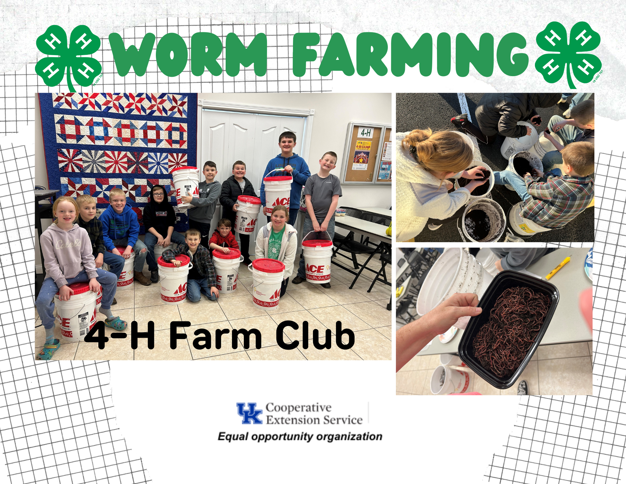 children making worm farms