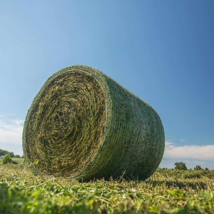  Roll of hay