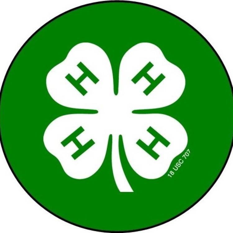  4-H Emblem