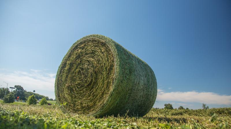 Roll of hay