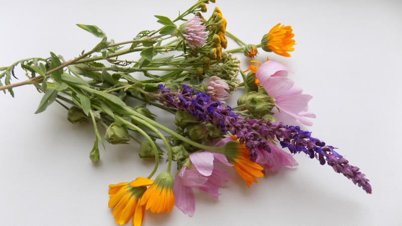 Assortment of flowers on a table