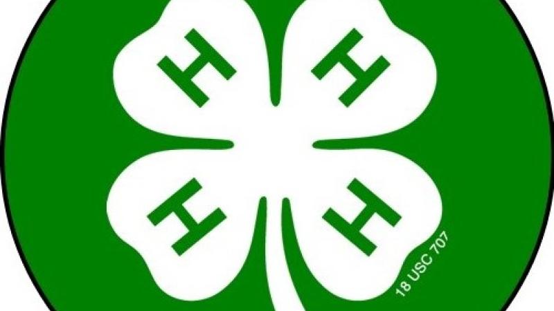 4-H Emblem