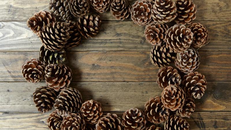 Pinecone wreath